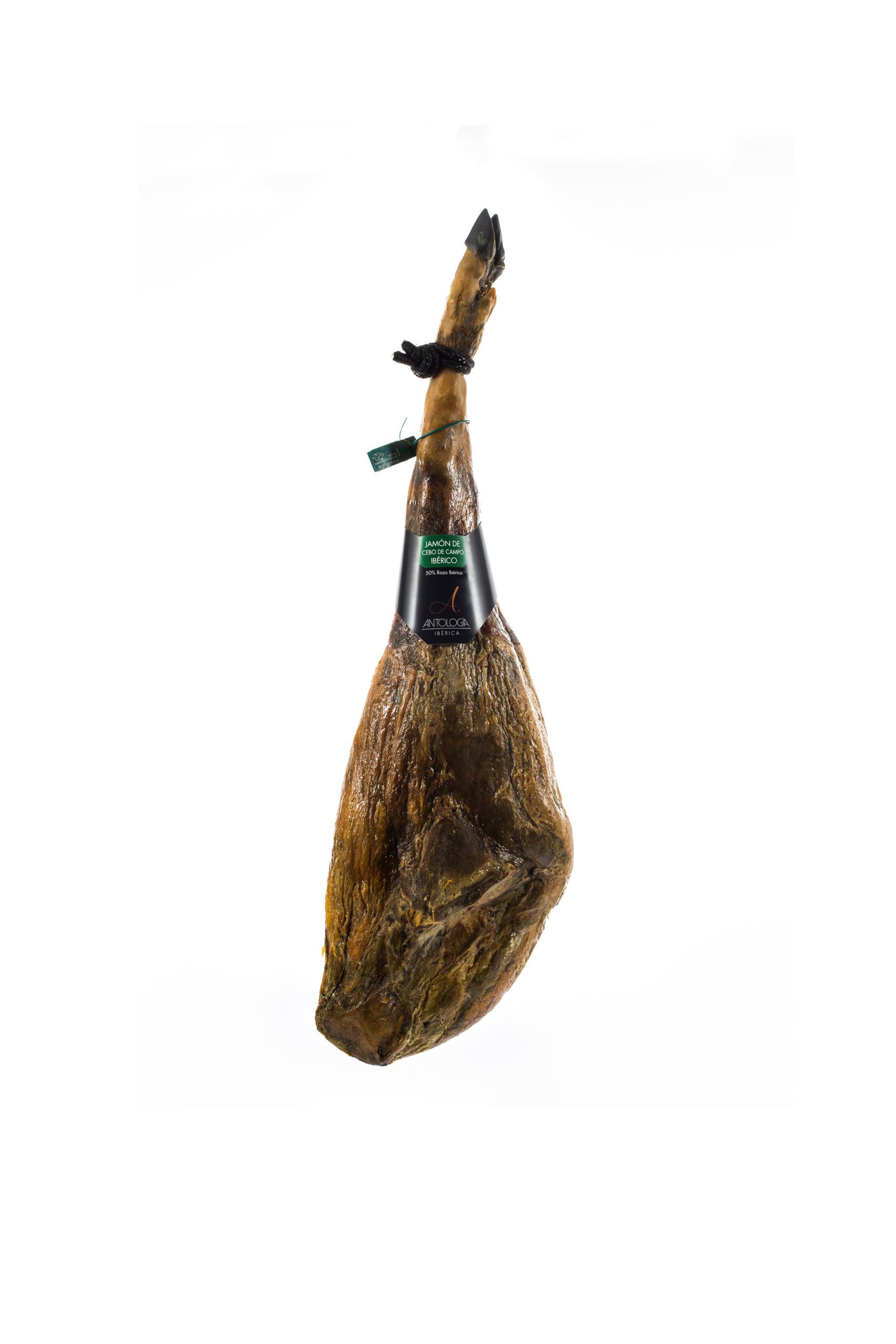 jamon iberico cebo de campo 1